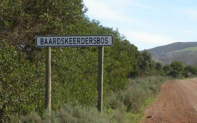 Exploring Gansbaai By Car